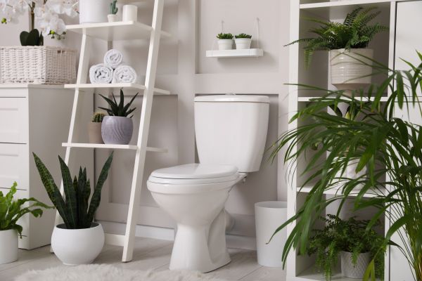 Toilet Repair in Knoxville